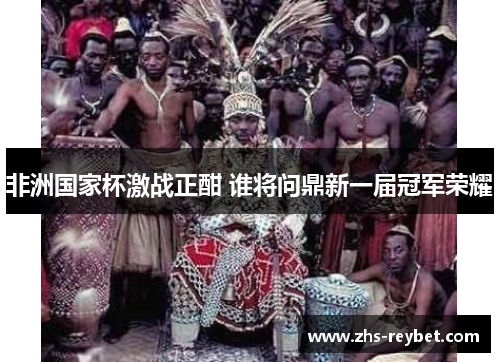 非洲国家杯激战正酣 谁将问鼎新一届冠军荣耀